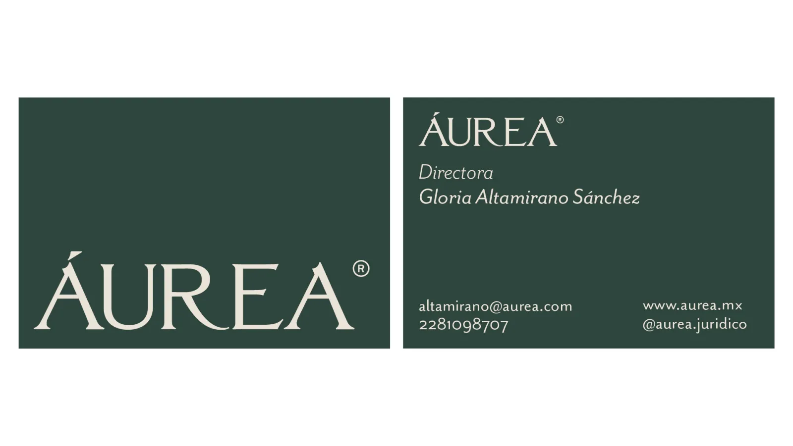 ÁUREA: Branding and Website