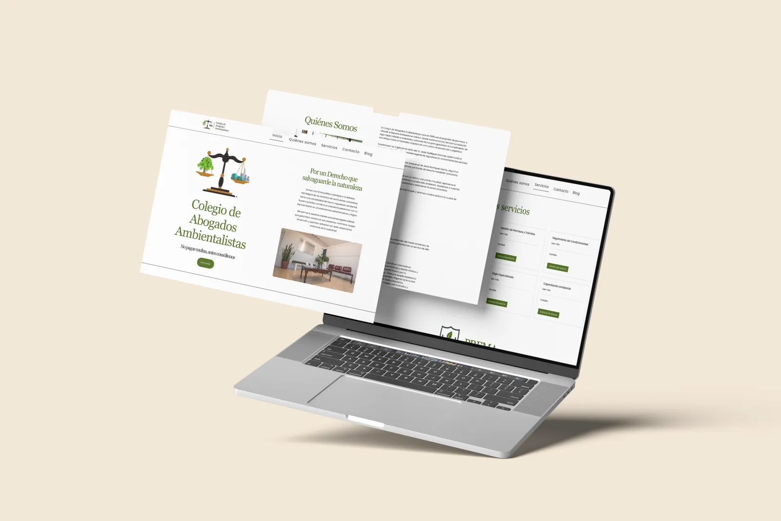 Colegio de Abogados Ambientalistas: Web Design