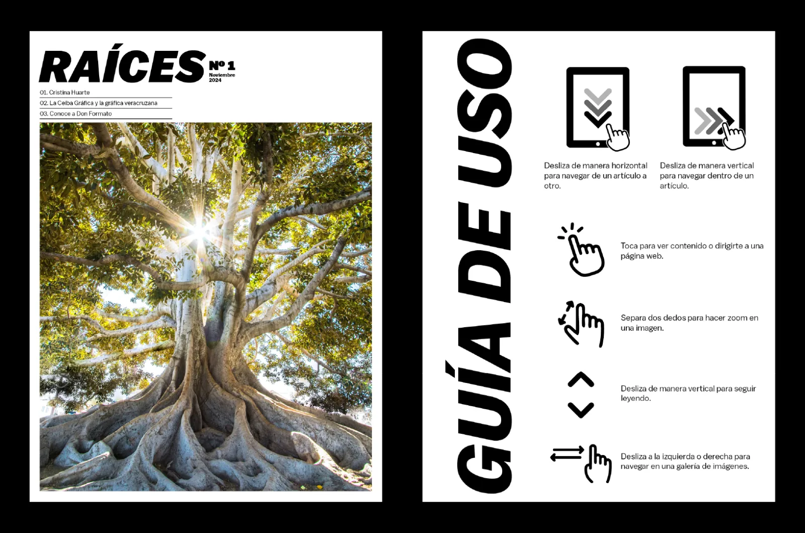 Raíces: Interactive Digital Magazine