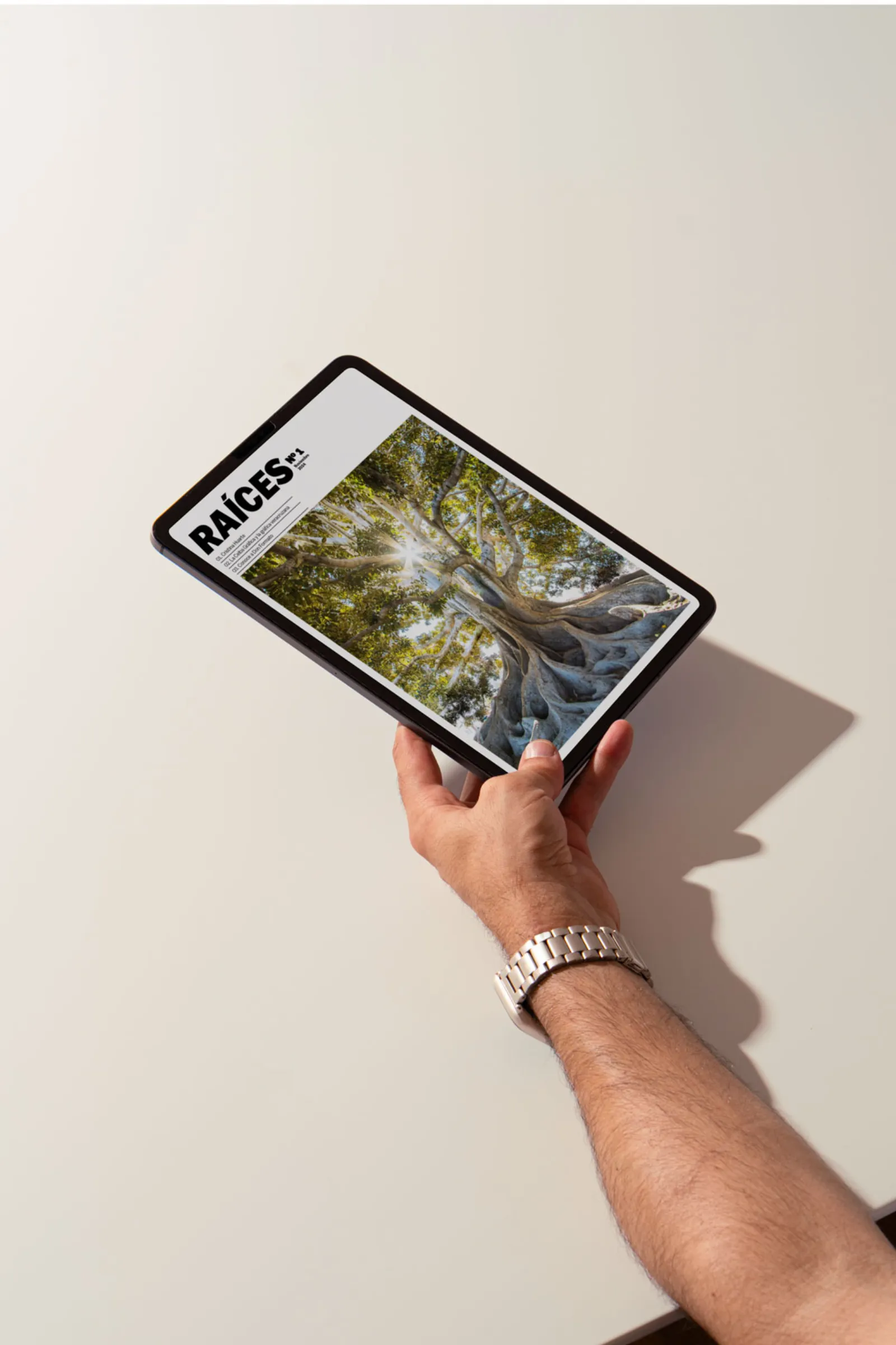 Raíces: Interactive Digital Magazine