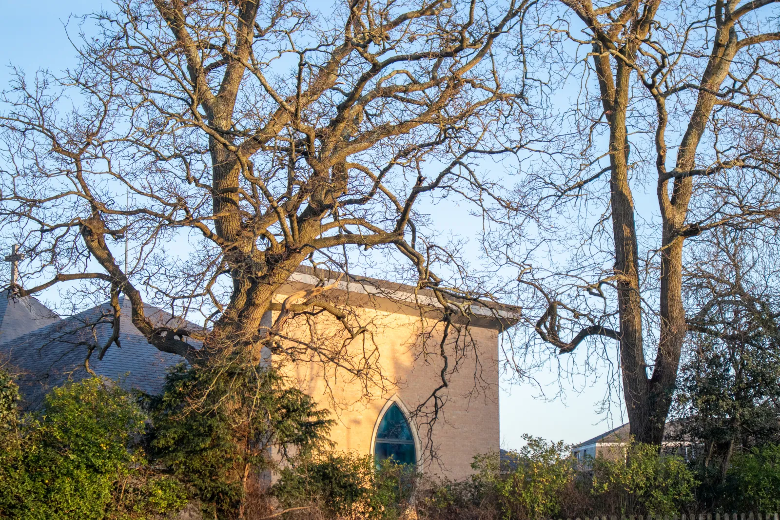 Waterlooville: Street Photography